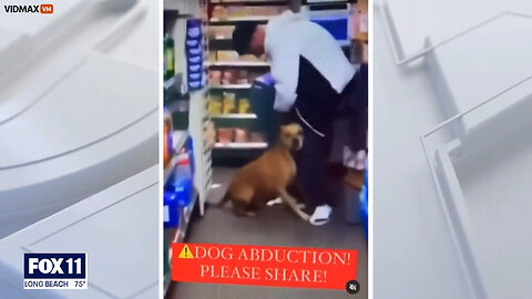 Thugs Attack A Woman At 7-Eleven And Steal Her Dog In Lost Angeles