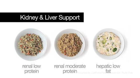 Support Diets For Dogs: Kidney & Liver Support