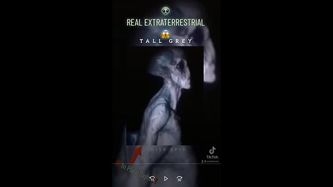 VIDEO OF A REAL EXTRATERRESTRIAL - TALL GREY