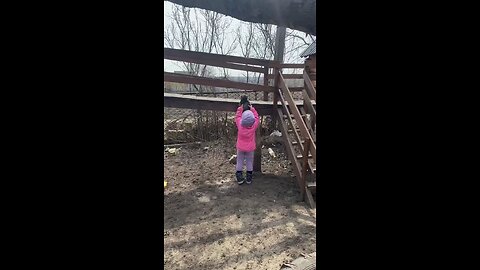 A little girl teaches her puppy how to play slide..🐶🛝👧😊