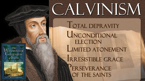Talking with a Calvinist about Calvinism