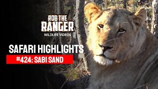 Safari Highlights #424: 06 - 08 August 2016 | Sabi Sand Wildtuin | Latest Wildlife Sightings