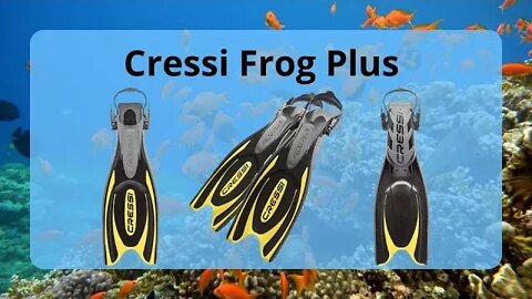 Cressi Frog Plus Review