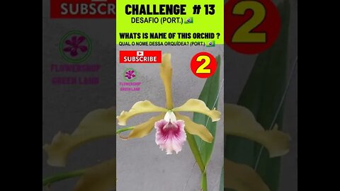 CHALLENGE # 13 |WHATS IS NAME OF THIS ORCHIDS?|YOU WANT TO LEARN? |# SHORT
