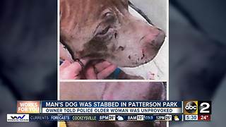 Woman stabs dog in Patterson Park