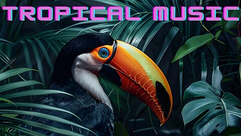 Tropical Beach Music with Beautiful Ocean Beach Views | Happy and Uplifting
