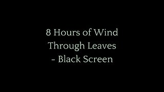 8 Hours of Wind Through Leaves - Black Screen for Sleep and Relaxation