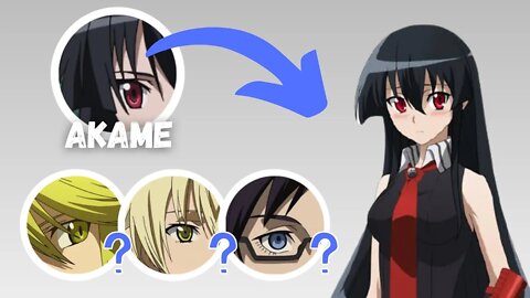 Adivinhe o Personagem de Akame Ga Kill Pelos Olhos 💥 Quiz Anime