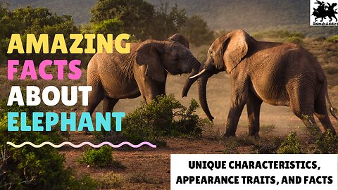 Amazing Facts About Elephants | Elephants Facts, Appearance & Traits | Animals Addict