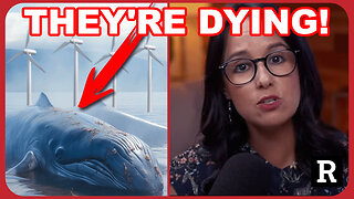 They're DYING! The Ugly Reality Behind Offshore Wind Farms!