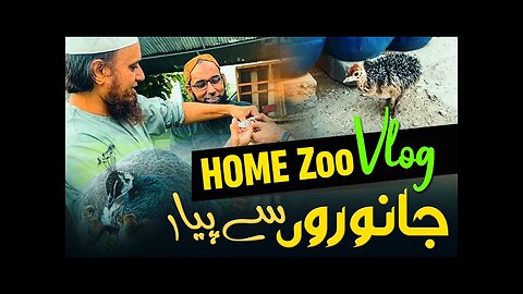 Home Zoo with Mufti Tariq Masood: A Spiritual Safari for the Soul