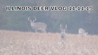 Illinois Deer hunting 2019 (11-11-19) Vlog Big Bucks in the Soybeans! (But not on my property!)