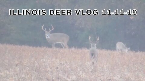 Illinois Deer hunting 2019 (11-11-19) Vlog Big Bucks in the Soybeans! (But not on my property!)