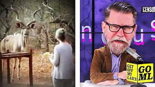 Gavin McInnes REACTS to Nature Is Metal COMPILATION