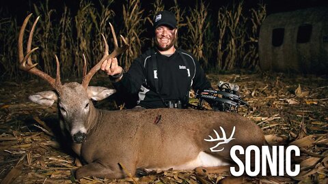 EARLY Season Whitetail Pattern.....On The GROUND!