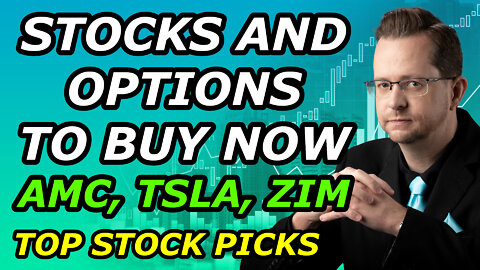 STOCKS AND OPTIONS TO BUY NOW - AMC, TSLA, ZIM - Top Stock Picks for Tuesday, March 15, 2022