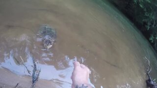 Huge snapping turtle catch!