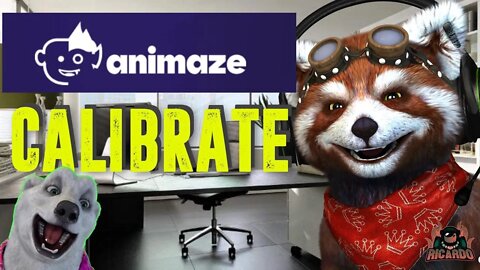How to Calibrate Animaze | Solve problems with Tracking