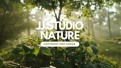 No copyright Jungle Relaxing Music-Forest Music with birds sounds