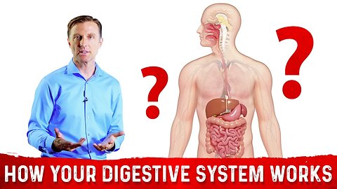 How Does the Digestive System Works? – Dr.Berg