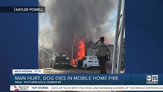 Man hurt, dog dies in Mesa mobile home fire