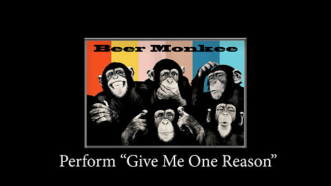 Give Me One Reason performed by Beer Monkee