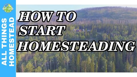 Start Homesteading and Self Sufficiency // Homesteading for Beginners