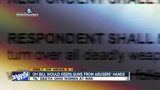 Ohio lawmakers will introduce bill to protect domestic violence victims from gun violence