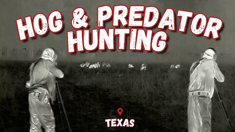 Bobcats, Coyotes & Hogs In ONE NIGHT! | Thermal Footage