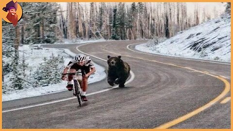 15 Animals Attack Caught On Camera While Cycling