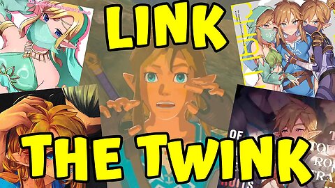 LINK THE TWINK | ShortFatOtaku