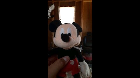 Mickey is new on here too