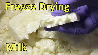 Freeze Drying Milk