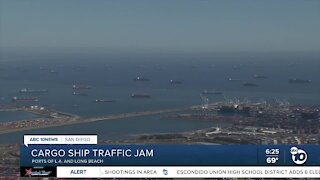 Cargo ships sit waiting outside of Los Angeles, Long Beach ports