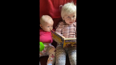 little girl reading