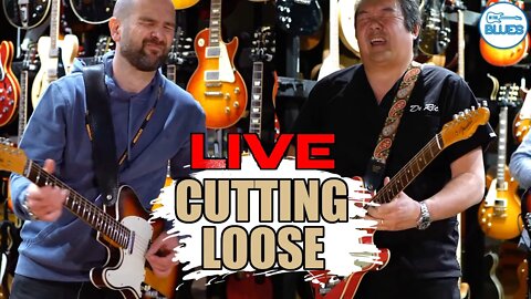 $75K worth of Gibson, Fender, Reverend, and more! (Live Show)