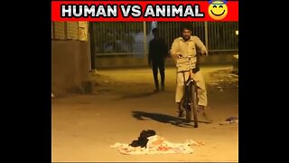 Human Vs dog’s