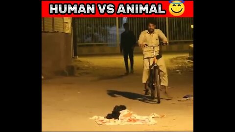 Human Vs dog’s