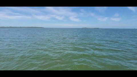 6/6 ran into a pod of Dolphin 🐬 with the Meier group, Outer Banks Adventures