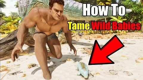 How To TAME WILD BABIES In ARK ASCENDED