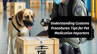 Navigating Customs Clearance: Guide for Pet Medications