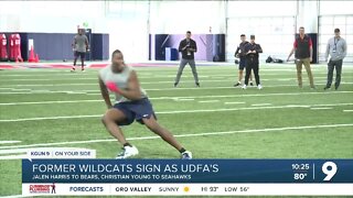 Former Wildcats Harris, Young sign with NFL teams