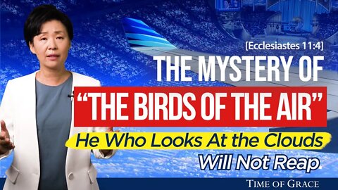 The Mystery of "the Birds of the Air" - He who looks at the clouds will not reap | Ep62 Grace Road