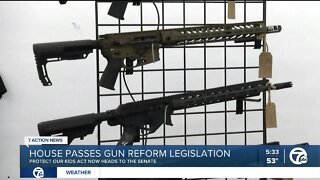 House passes gun reform legislation