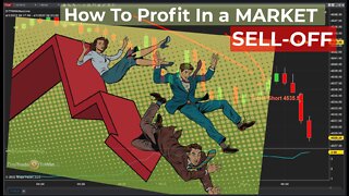 How Top Profit From a Market SELL-OFF