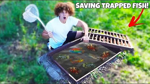 I Found AQUARIUM FISH TRAPPED In SEWER!