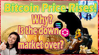 Bitcoin Price Rises! Why? Is the down market over?