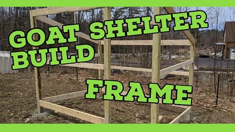 DIY 8X10 Goat Shelter Build |Frame| |Nigerian Dwarf Goats|