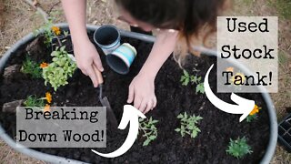 How to Build Hugelkultur Beds On Our Homestead!!