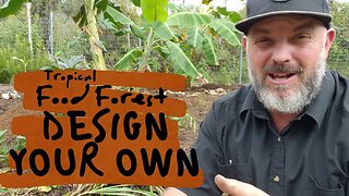 The Only Food Forest Video You Need To Watch